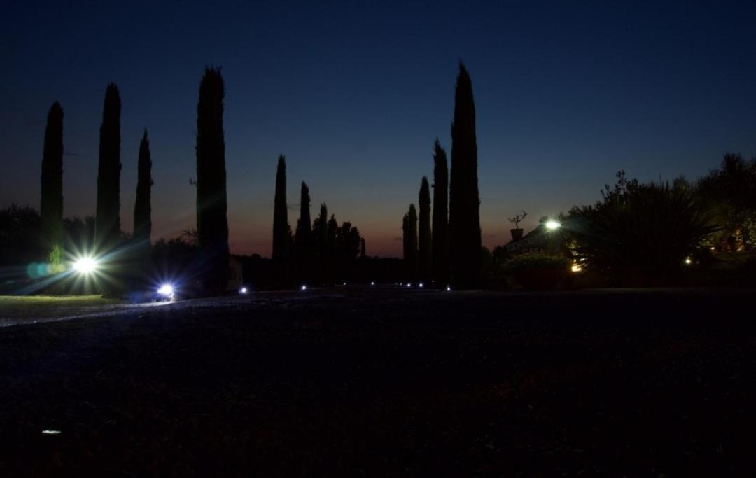 Casa degli Ulivi Bed and Breakfast Cerveteri Esterno foto