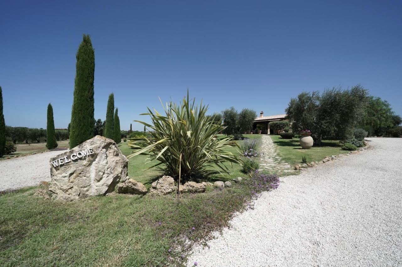 Casa degli Ulivi Bed and Breakfast Cerveteri Esterno foto