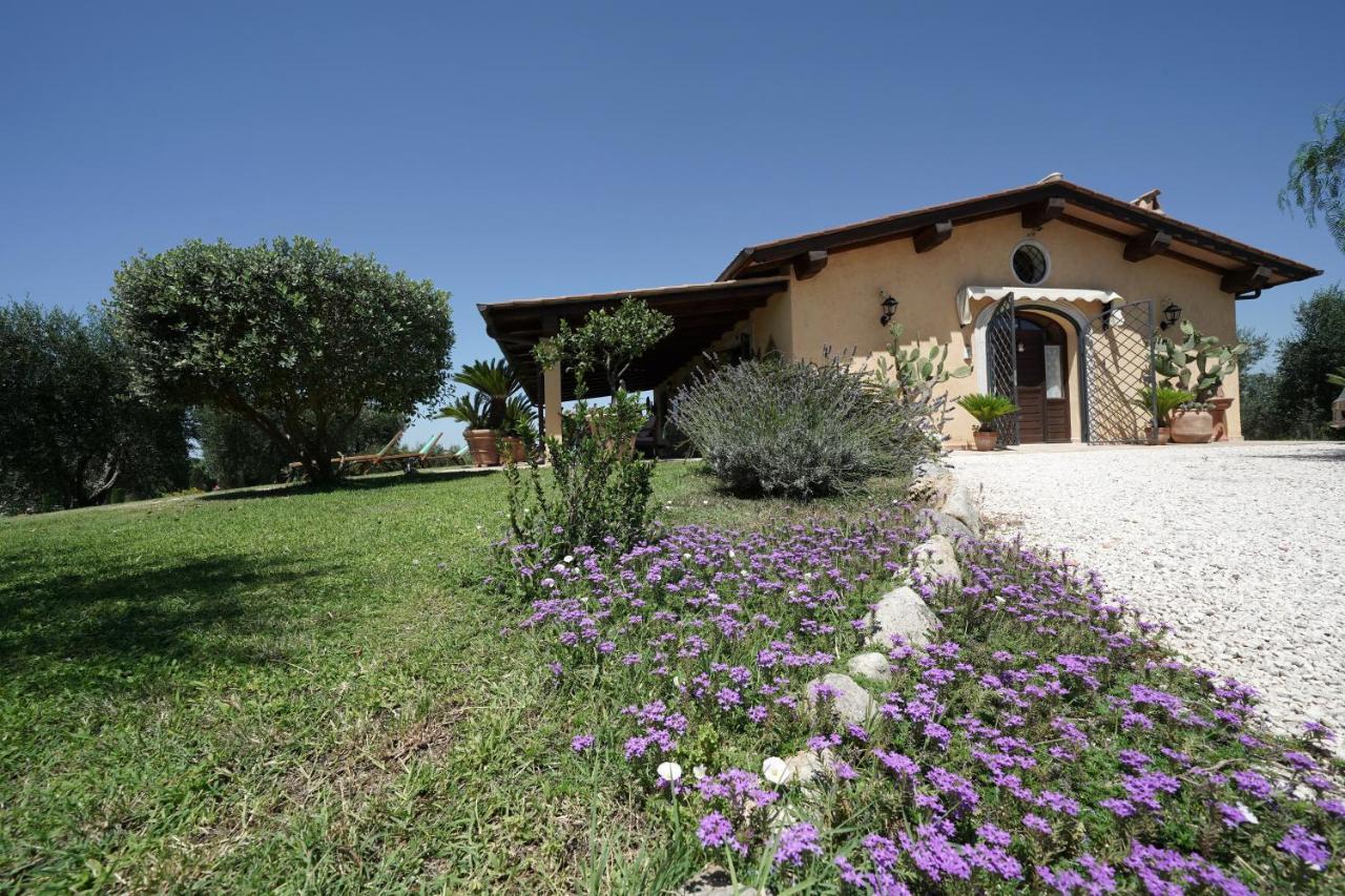 Casa degli Ulivi Bed and Breakfast Cerveteri Esterno foto