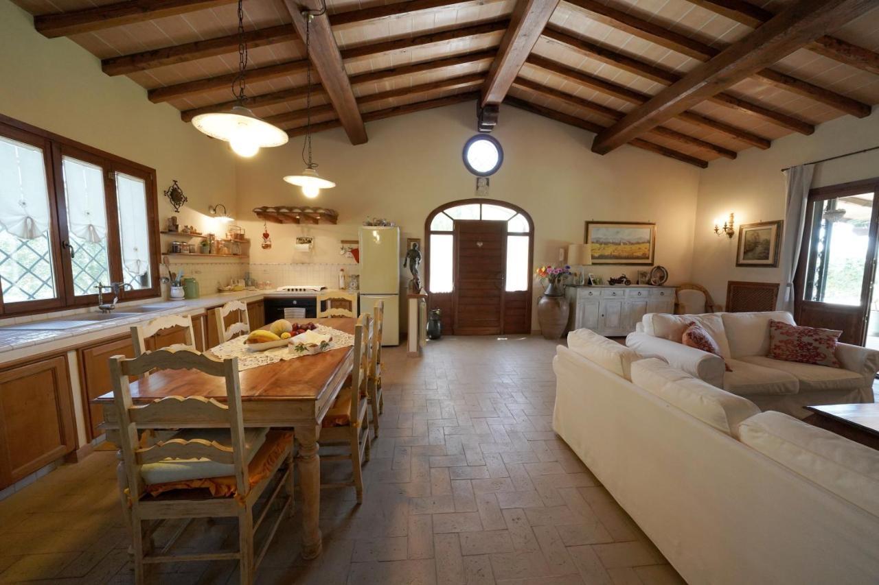 Casa degli Ulivi Bed and Breakfast Cerveteri Esterno foto